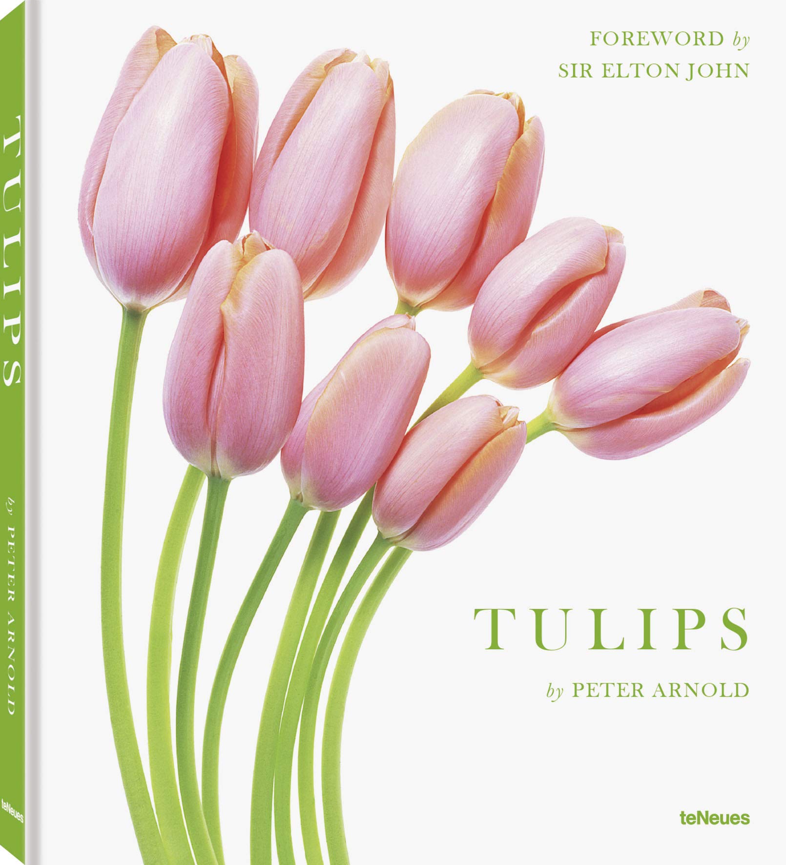 Tulips: Peter Arnold