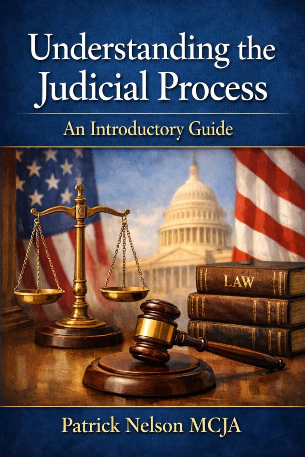 Understanding the Judicial Process: An Introductory Guide