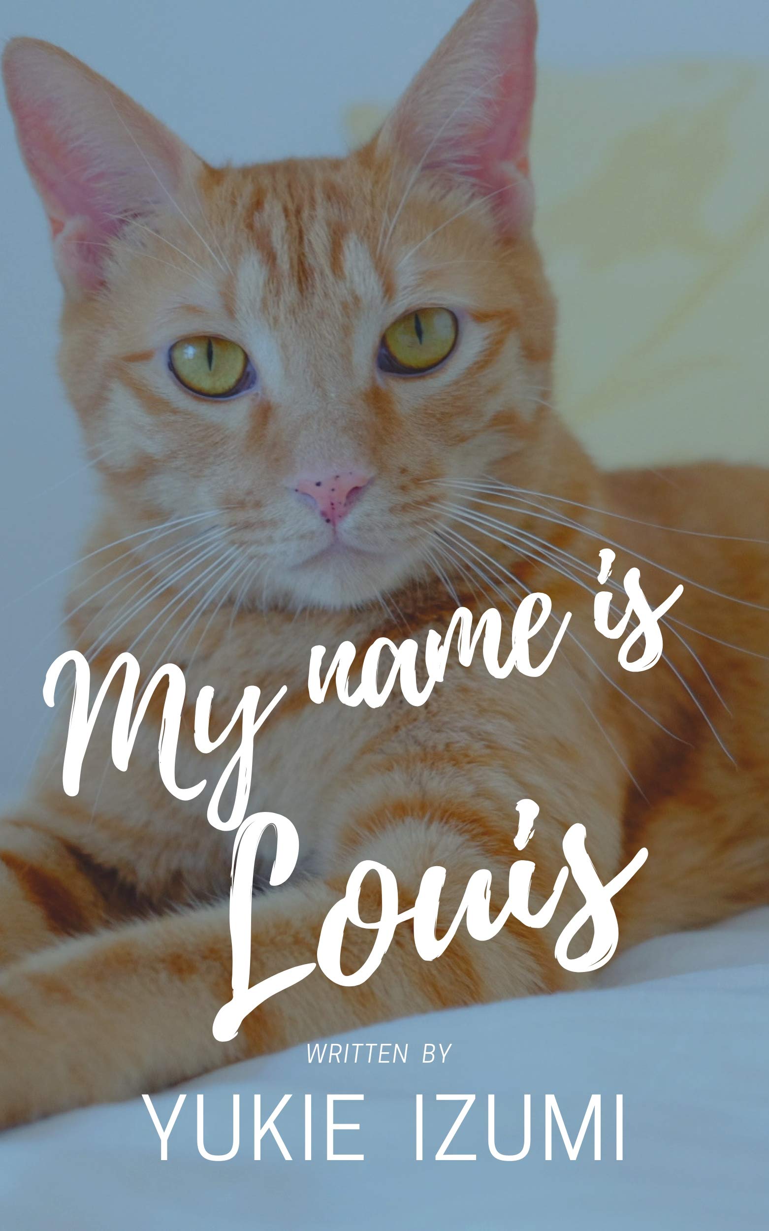 Amazon.co.jp: Yukie Izumi: 本、バイオグラフィー、最新アップデート