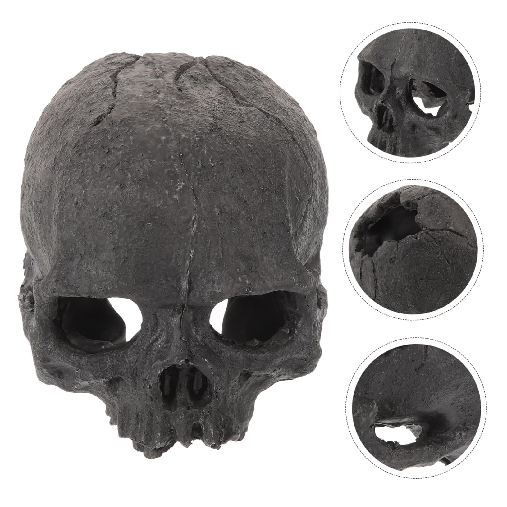 Toddmomy 5pezzi Decorazione Acquario Resina Forma di Teschio Ornamento per Pesci Rifugio per Rettili Design Realistico per Terrari e Acquari per Halloween