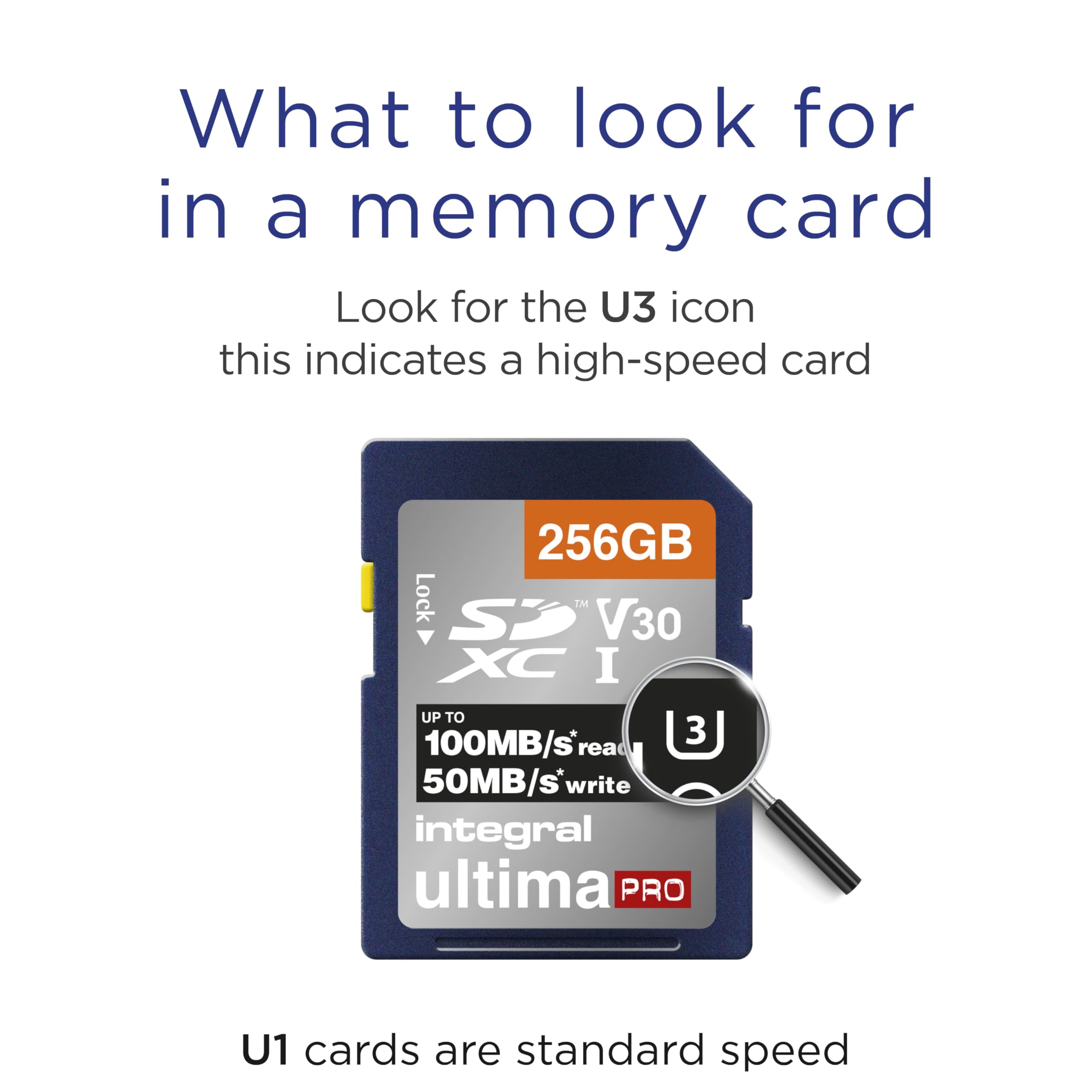 Scheda SD Classe 10 U3 V30 Migliore Scheda Sd Per Video Scheda SD 32GB EF2 - Velocità Fino A 90MB/s, UHS-I, C10, U3, V30, Per Video 4K E Fotocamere Scheda Veloce Resistente