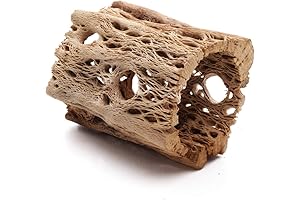 Organic Aquarium Cholla Wood for Shrimp, Crab, Pleco, Cichlid, Nano Tank, Birds...