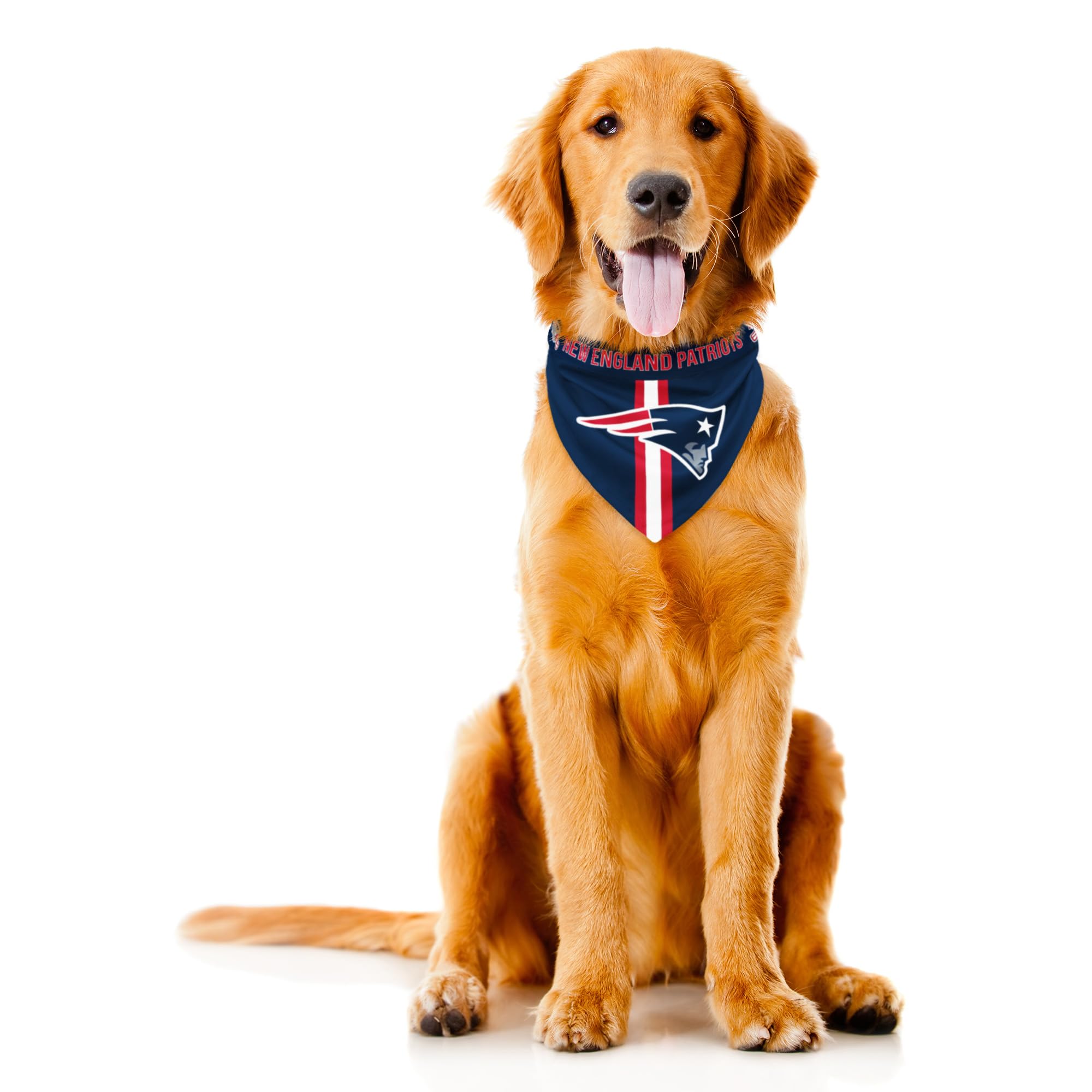 NFL Pet Bandana