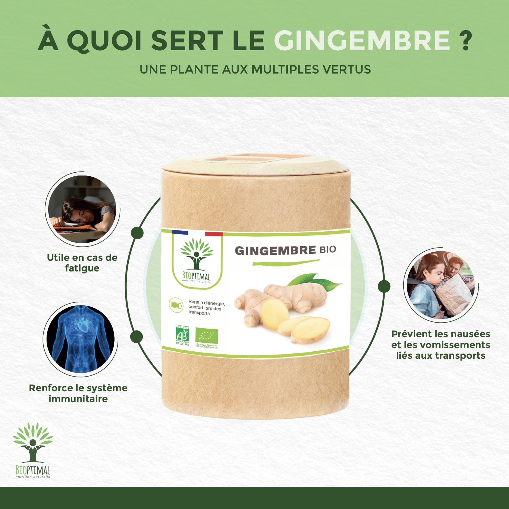 Gingembre Bio - Bioptimal - Complément alimentaire - Energie Mal des transports Digestion Sexualité - Poudre de Racine - 270 mg par Gélule - Fabriqué en France - Certifié par Ecocert - 200 gélules