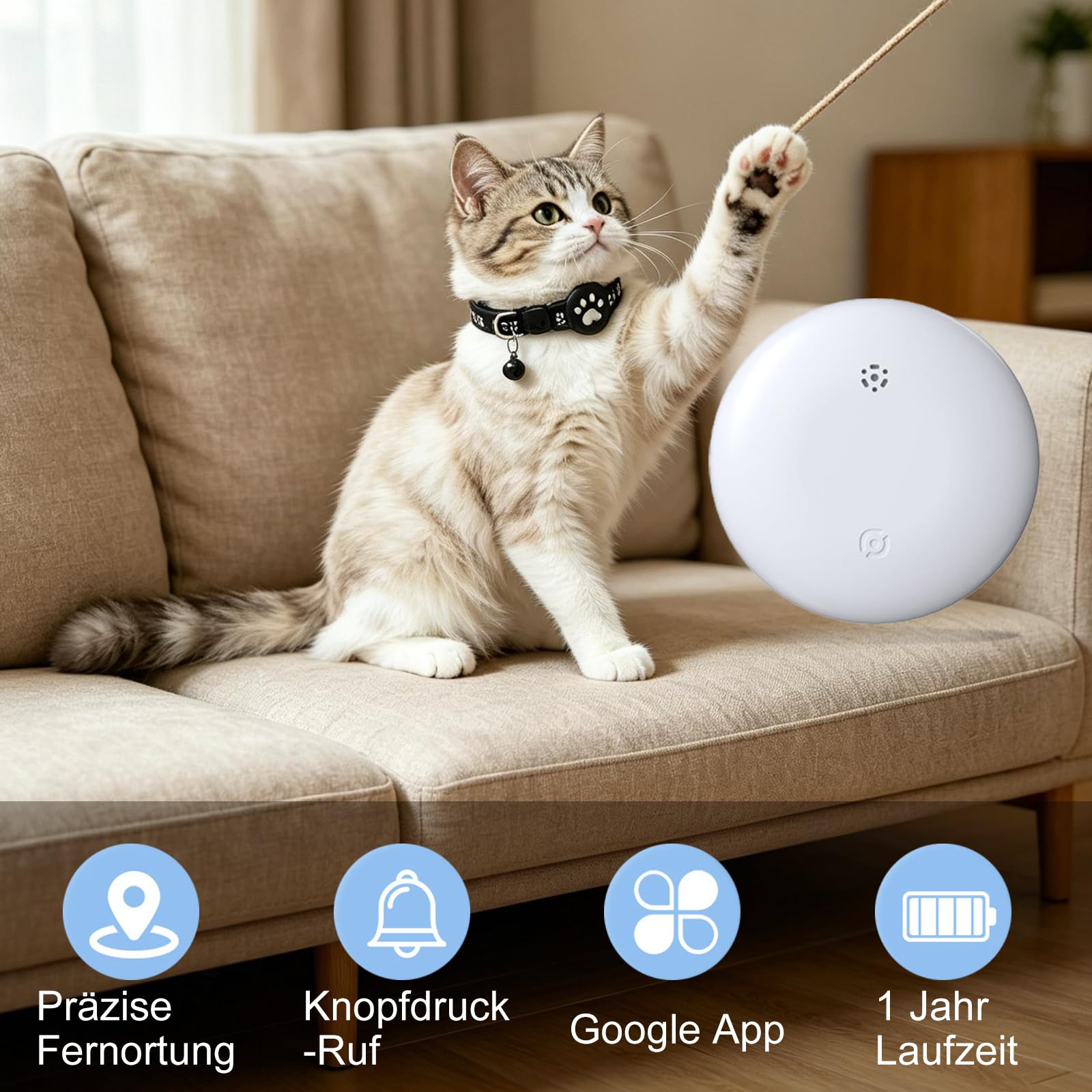 Katzenhalsband für kleine Katze und Hund (iOS & Android), Mini Tracker Katze Ohne ABO, SIM-Karte, Keine monatlichen Gebühren, Echtzeit-Tracking katzentracker (Halsband + Tracker Weiß)