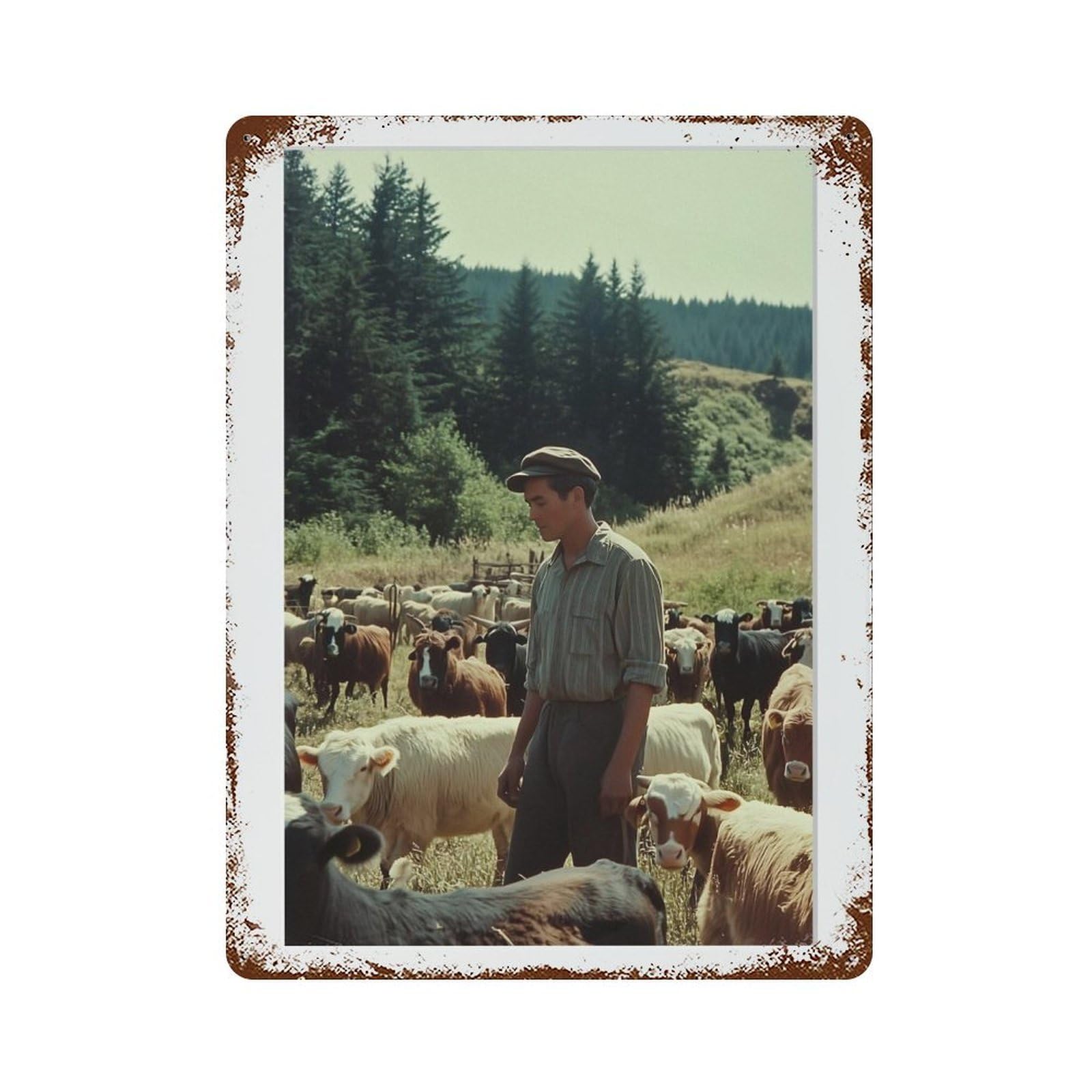 xiaoxiaoshen Sheep in Farm, Photography S Wall Decor Art Metal Tin Poster Modern Home Decor Art Home Bar Shop Decorations Vintage Sign 40x30cm