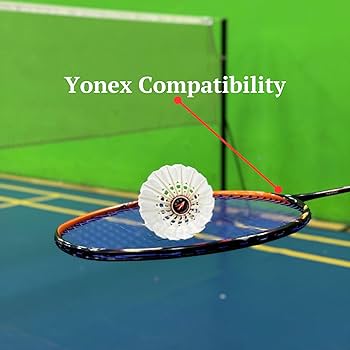 Amazon | 飛行機バドミントン グースフェザーシャトルコック4個