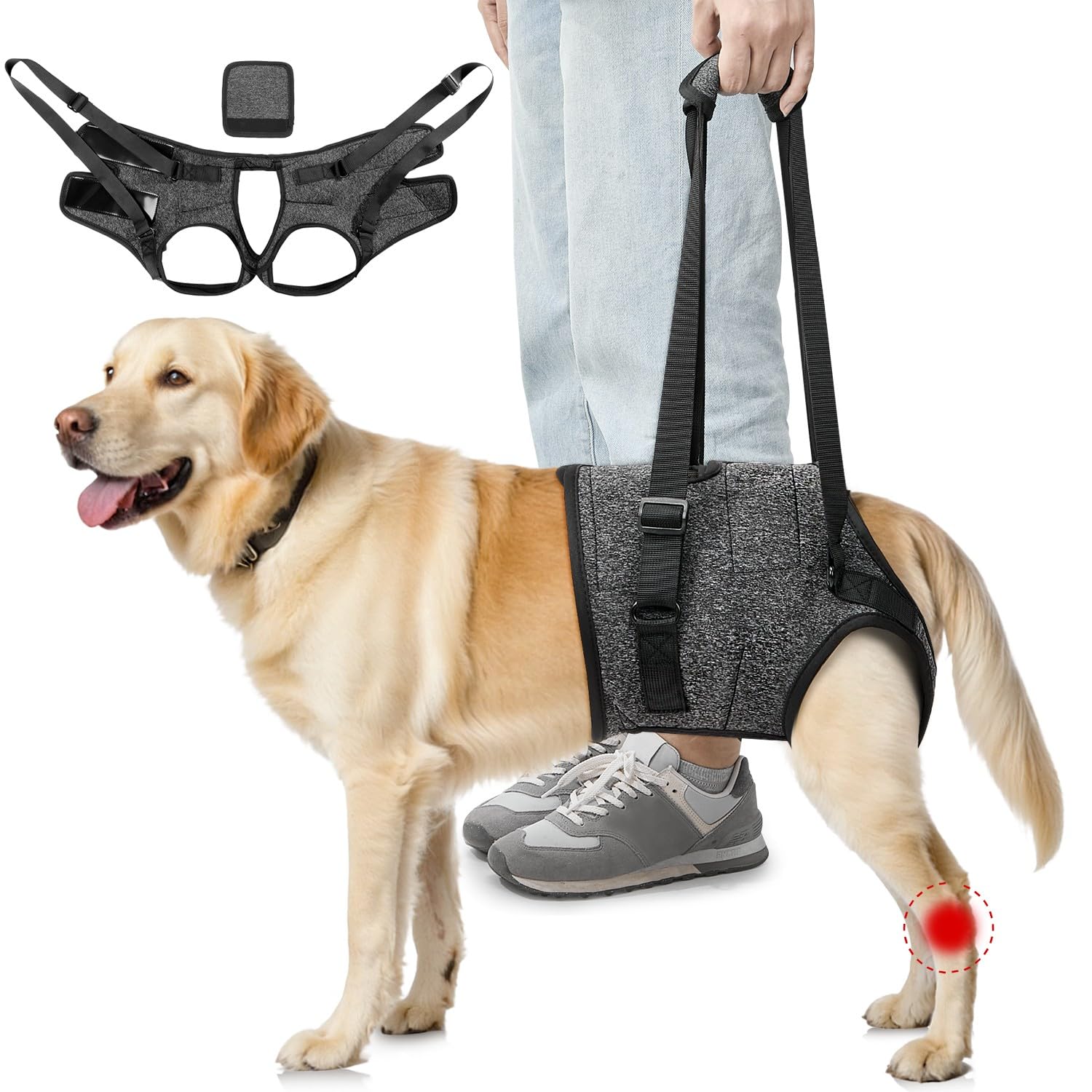 SlowTon Arnés de Soporte para Patas Traseras para Perros Medianos y Grandes - Arnés Elevador Ajustable y Cómodo para Perros Ancianos, Lesionados, Artríticos o con Discapacidad