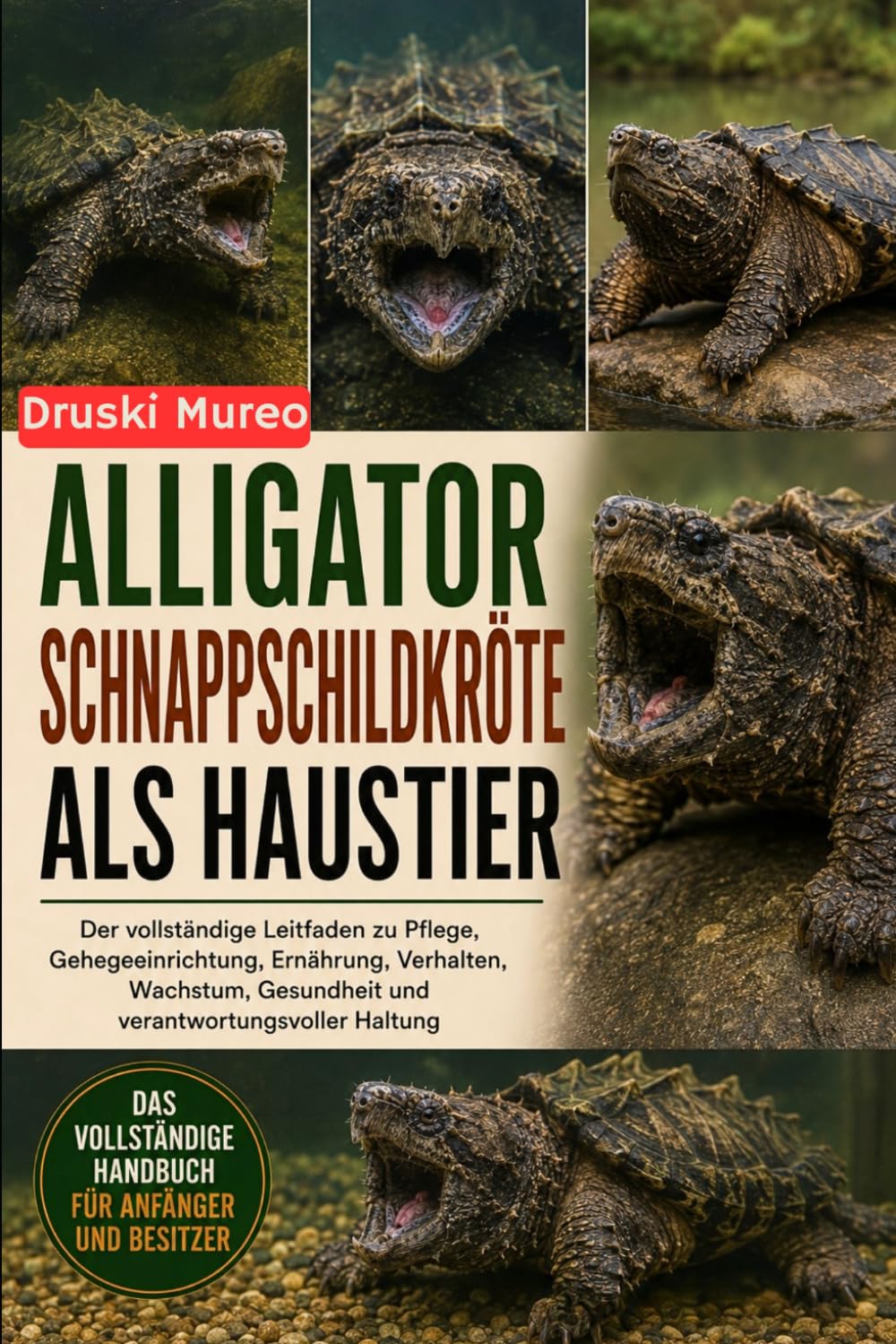 ALLIGATOR-SCHNAPPSCHILDKRÖTE ALS HAUSTIER: Der vollständige Leitfaden zu Pflege, Gehegeeinrichtung, Ernährung, Verhalten, Wachstum, Gesundheit und verantwortungsvoller Haltung