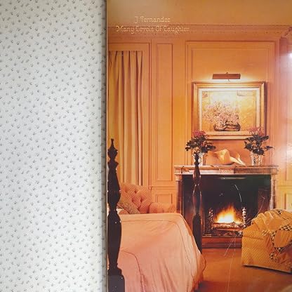 Many Levels Of Laughter [Disco de Vinil] por J Fernandez — capa do álbum