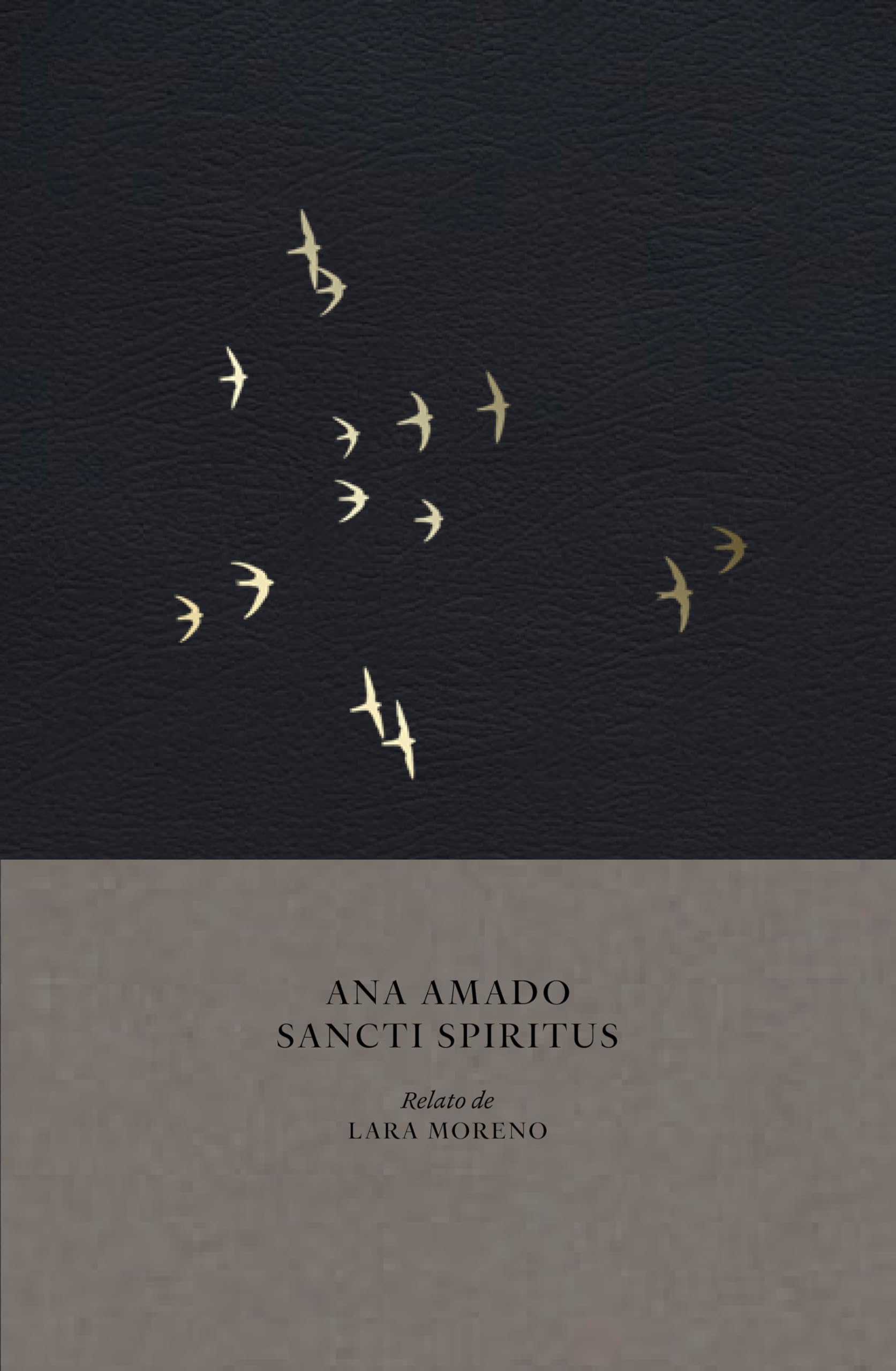 Sancti Spíritus. (Libros de autor.)