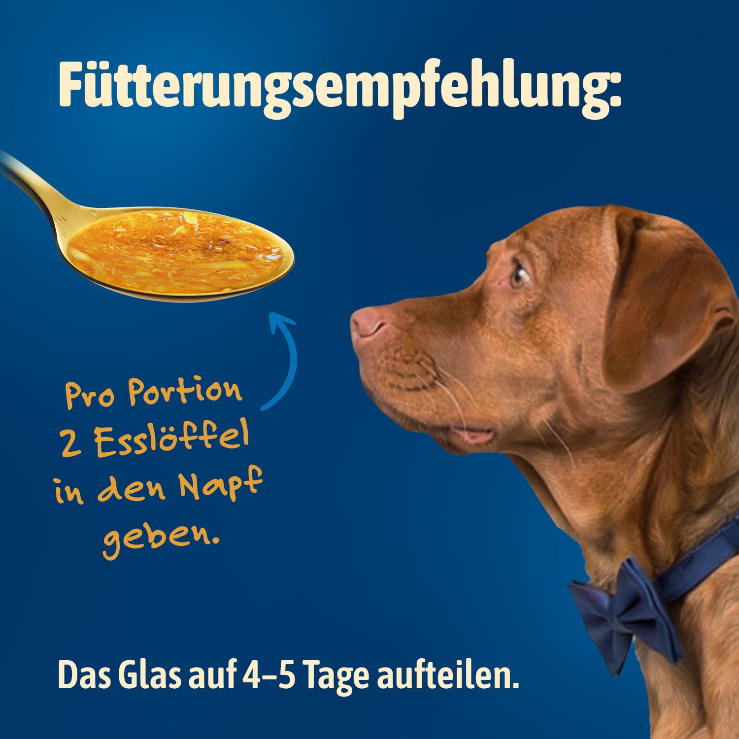 NutriQM® M!EAT Snack Soup - Hunde Suppe mit Hühnerfilet & Gemüse - 6 x 280g - Hundefutter Topping - Getreidefreier Flüssig Snack - Ideal als EIS, Schlecksnack & Warme Suppe - Made in Germany