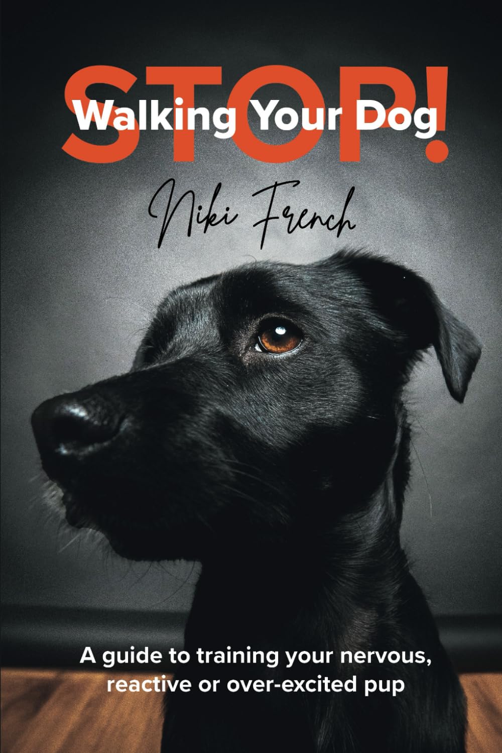 Stop Walking Your Dog: A Guide to Training Your Nervous, Reactive, or Over-Excited Pup