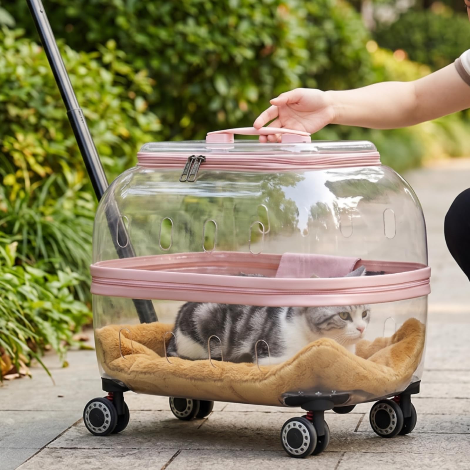 Transportkoffer Haustier Rollkoffer Rucksack Koffer mit Kuppel Polycarbonat Zugstange Und 4 Rollen Atmungsaktive Seiten Und Top Reißverschlussöffnung, Dunkelgrau