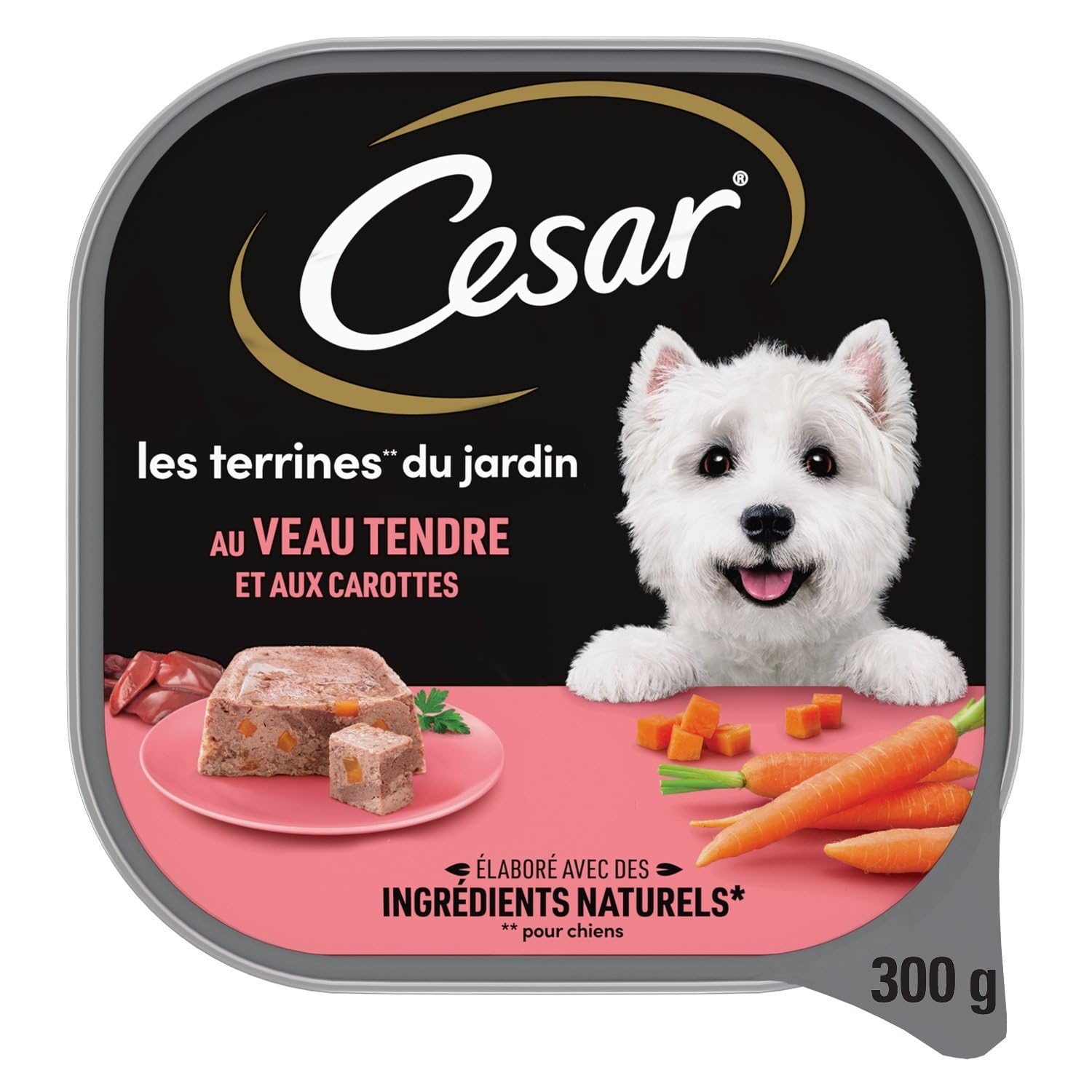 générique Cesar – Pâtée Gourmande pour Chien Adulte, Texture Terrine Savoureuse au Veau et Carottes (300g) - Le Lot de 4