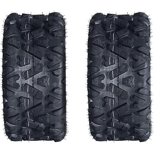 Set of 2 22x10.00-10 ATV UTV Tires 22x10x10 All Terrain Spare Tires 4PR Tubeless