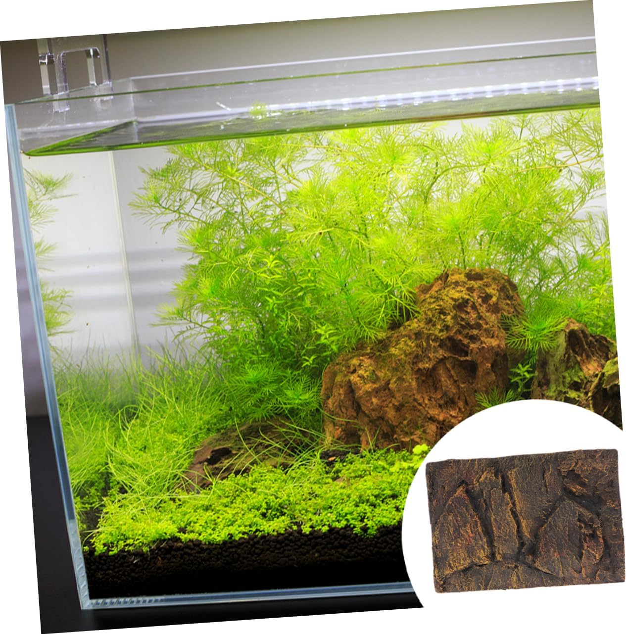 Hemoton Turtle Tank Decor Panel 2pcs Cork Terrarium Background Boards Reptile Terrarium Decor