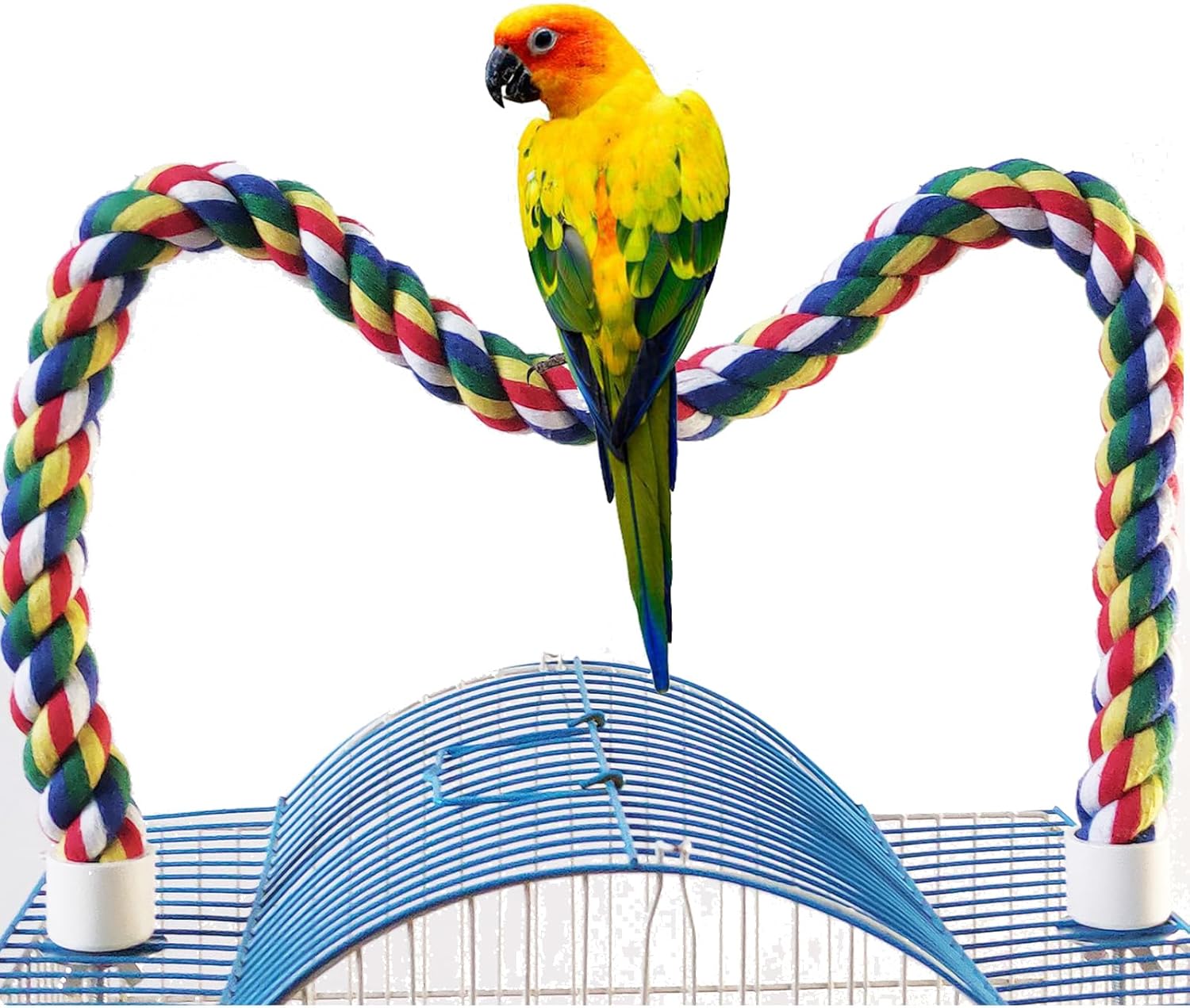 Bird Perch,Bird Rope Perch & Rope Perch,Bird perches for cage,Rope Perch for Conures,Parrots,Cockatiel,Lovebird,Budgerigar,Parakeet Rope perches for cage