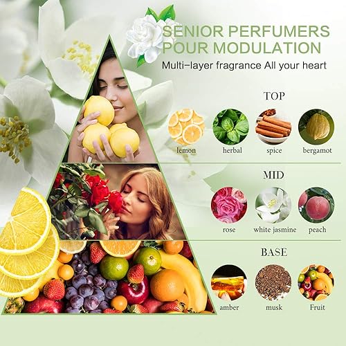 Miniatura 5 de Kits de 8 piezas Guestsupply con artículos esenciales que cumplen con la TSA de tamaño de viaje, que incluye: champú acondicionador de ducha gel de