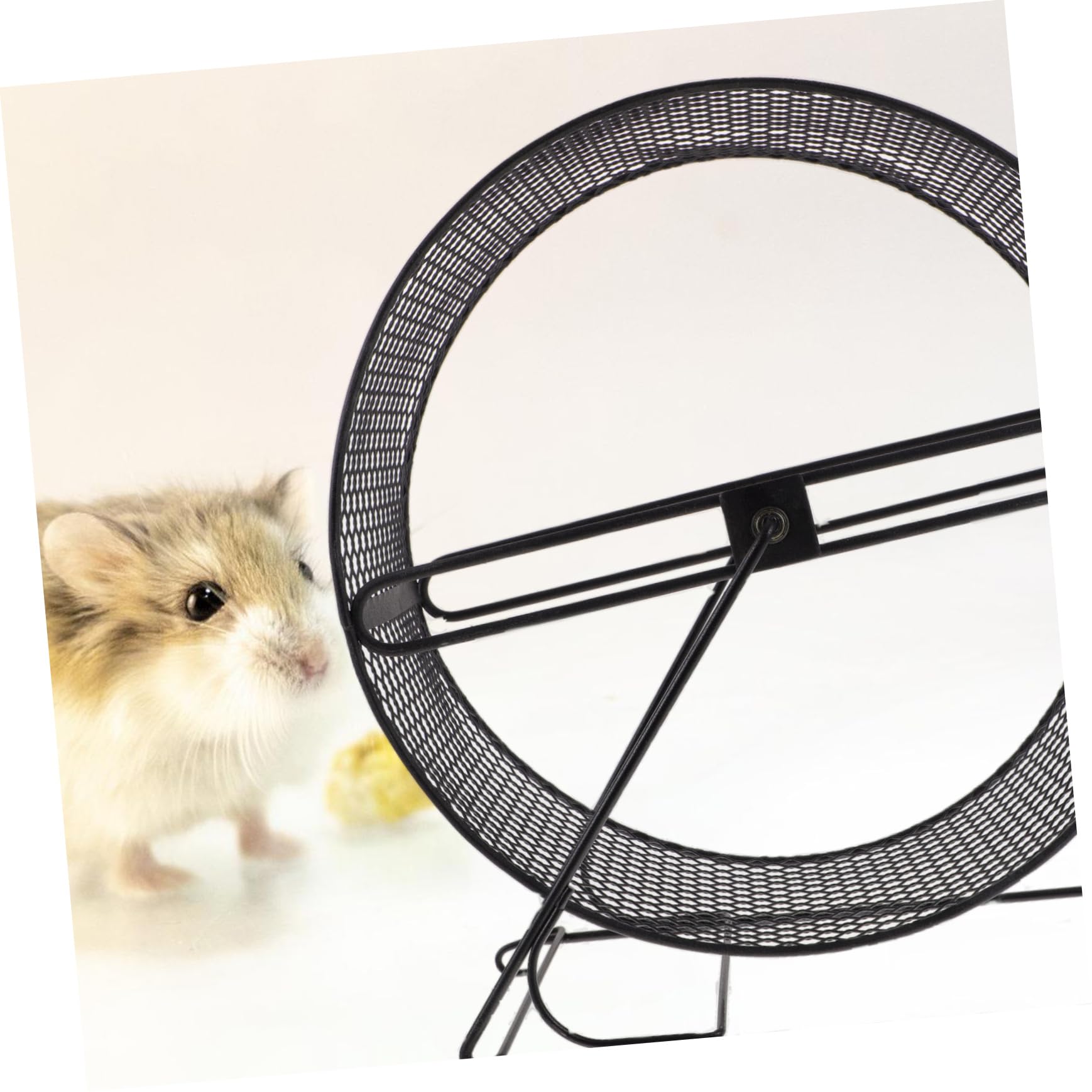 GALPADA Roue Hamster Silencieuse en Fer Noir, Jouet pour Hamster, Sûre et Amusante, pour Petits Animaux, Exercice Quotidien la Maison