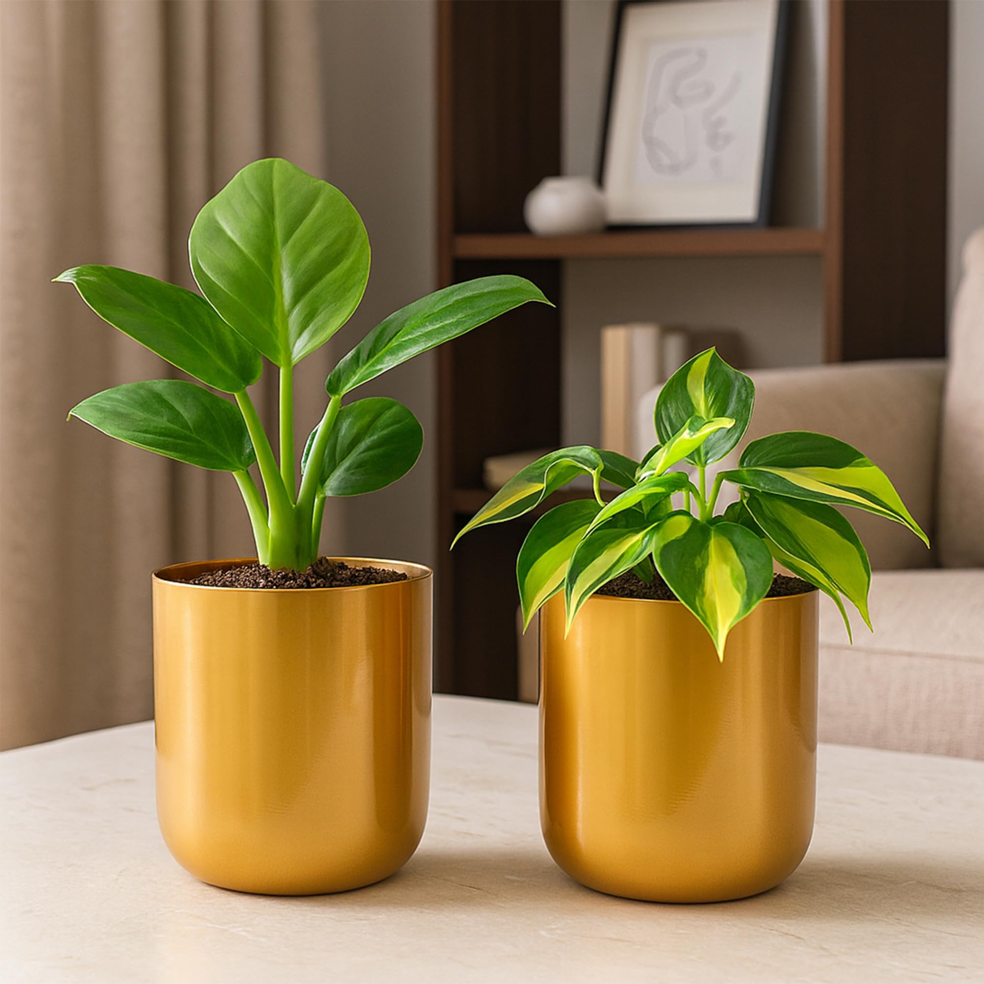 Metallic Miniature Planters - Gold Set of 2 -1