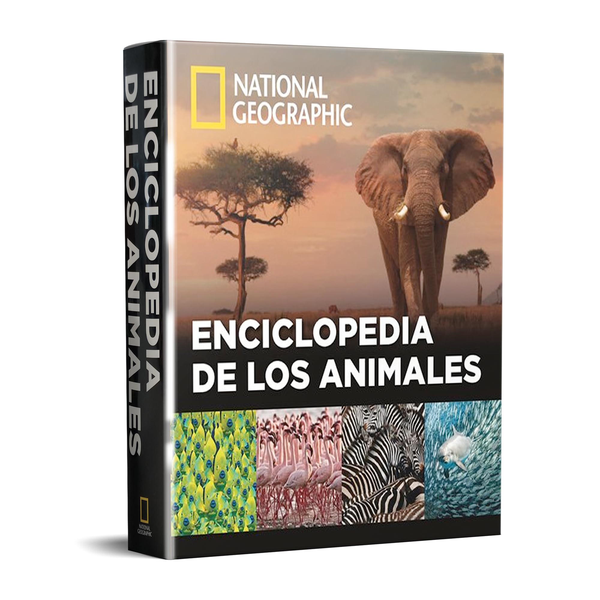 Enciclopedia de los animales (Grandes obras ilustradas, National Geographic)