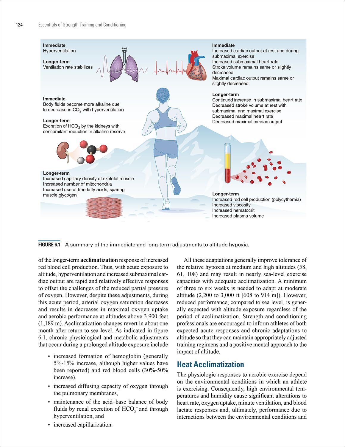 Essentials of Strength Training and Conditioning