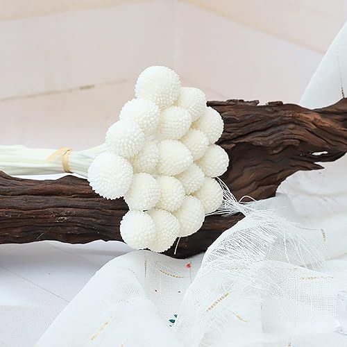 Vista 3 de 20 unidades de flores secas naturales, bolas de Billy amarillas, flores secas de 16 pulgadas, ramo de arreglos de flores para jarrones bohemios