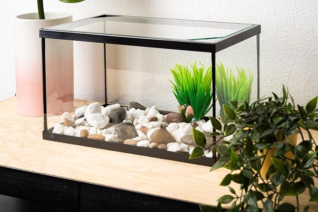 Foto 2 de 6 de BETTASHOP.ES Acuario PECERA DE Cristal para Peces 20 litros