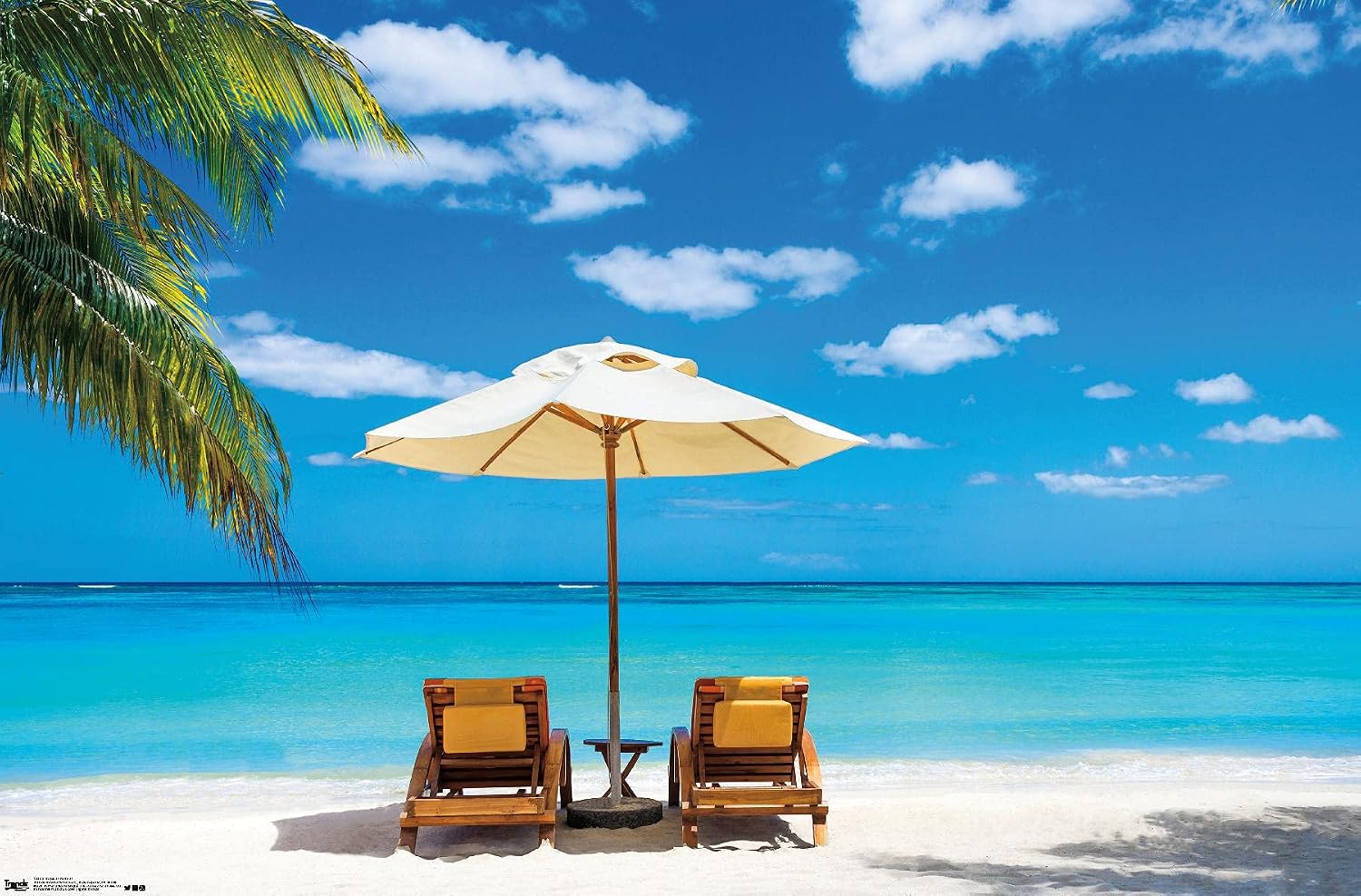 Trends International Tropical Retreat Wall Poster, 14.725" x 22.375", Premium Unframed Version