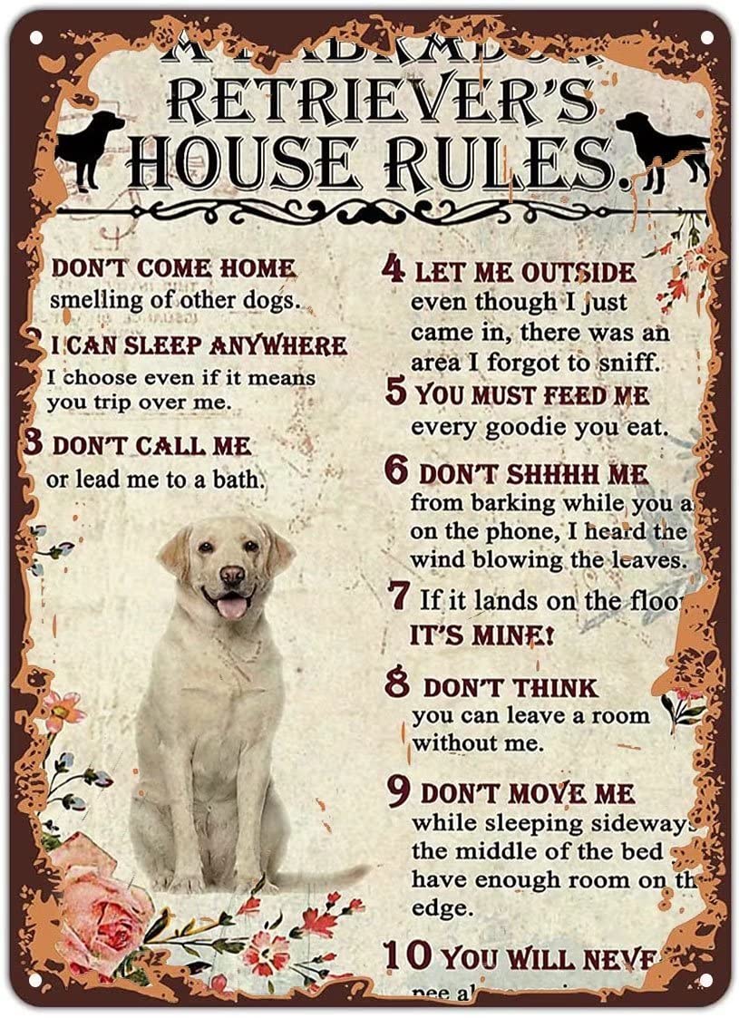 Amazon.com: WZVZGZ Retro Metal Aluminium Tin Sign Labrador Retriever's House  Rules Poster,Metal Poster Plaques for Home Living Room Kitchen Cafe Bar  Wall Decor Tin Sign Metal Signs Vintage 8x12 Inch: Posters &