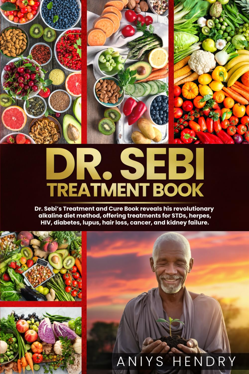 DR. SEBI'S TREATMENT BOOK: Dr. Sebi Treatment For Stds, Herpes, Hiv, Diabetes, Lupus, Hair Loss, Cancer, Kidney Stones, And Other Diseases. Paperback – June 1, 2021