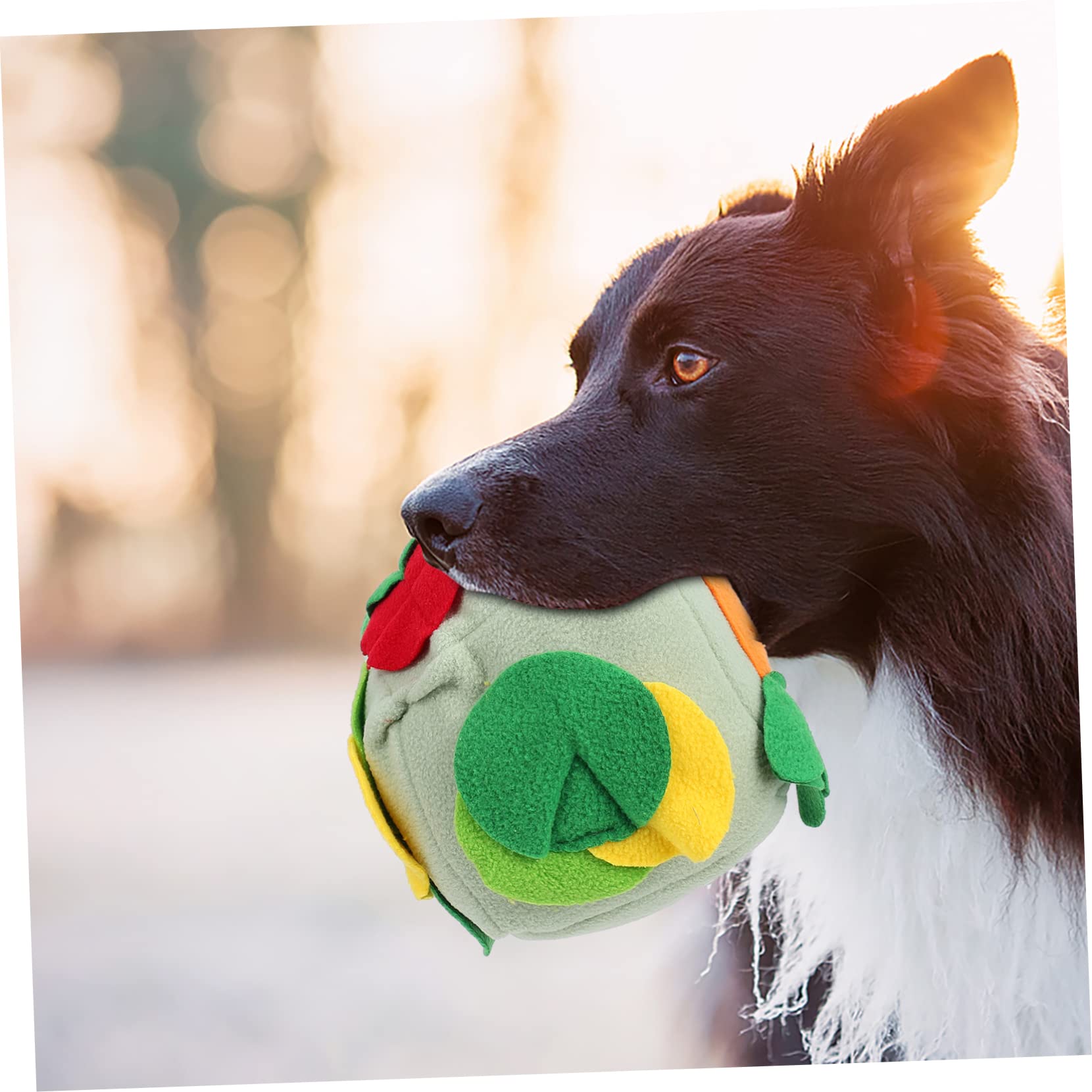 Beavorty 3stücke Hund Schnüffelball Futterspender Für Interaktive Fütterung Kauspielzeug Vermeidung Von Übergewicht Spielzeug Für Haustiere Fördert Langsames Fressen Und Geistige