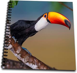 Memory Book 12 x 12 inch - Brazil, Mato Grosso Do Sul. Toco Toucan saying hi. Birds