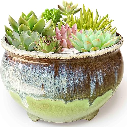 Macetas únicas de cerámica esmaltada para suculentas poco profundas de 6.3 pulgadas, cuenco para bonsái, maceta redonda pequeña y poco profunda con