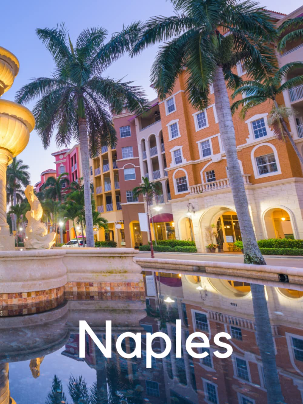 Naples: Florida Coffee Table Books Hardcover (Travel Series)      Hardcover – Large Print, November 17, 2022