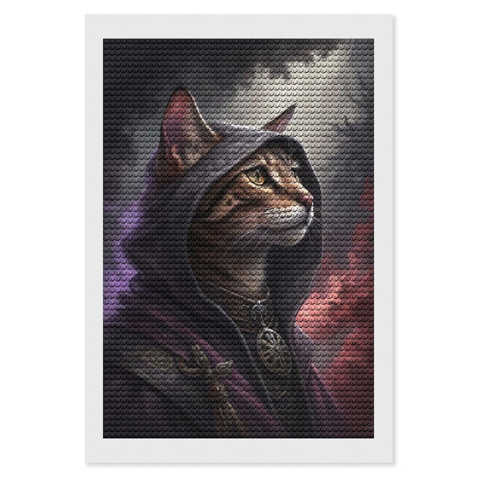 Junmoney Mysterious Cat Wizard Diamond Painting Canvas Kit 8"x12", Leisure Activity, Aesthetic Room Decor, with Tool Kit, DIY, Gift