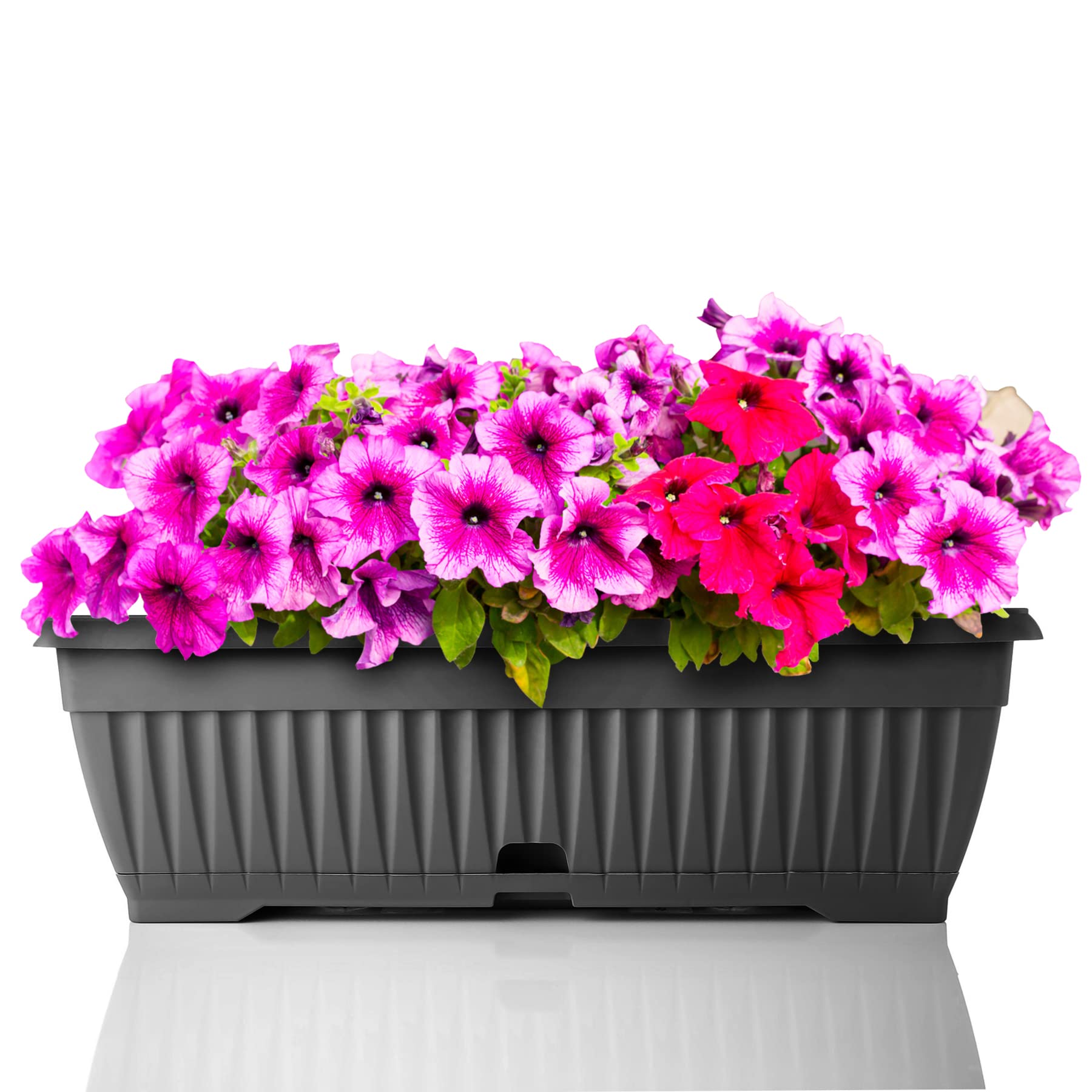blumenstnder micasa TRAVIS Pflanzenstnder  micasa