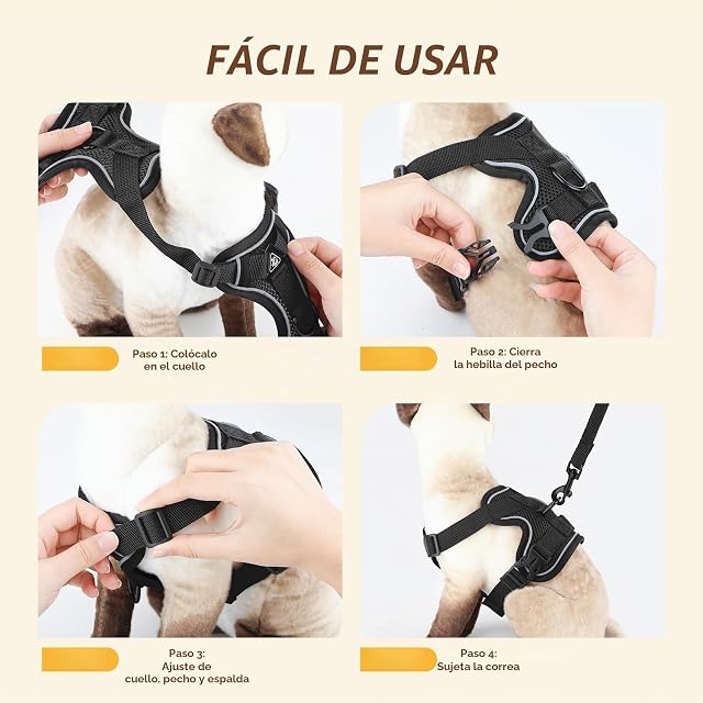 Foto 4 de 7 de GlasFlength Arnés para Gatos con Correa, a Prueba de roturas, Correa para Gatos con arnés Ajustable para Gatos
