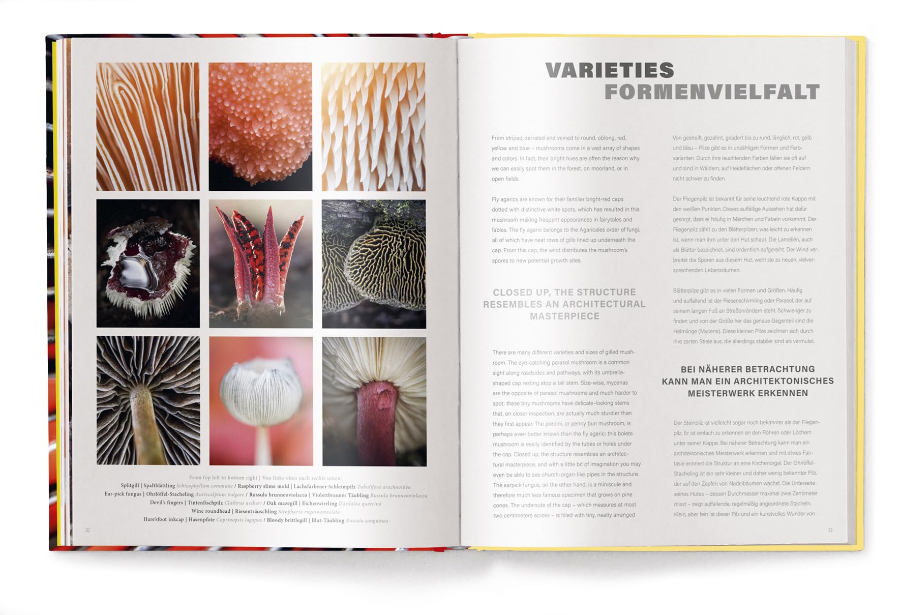 Wonderland: The Secret World of Mushrooms