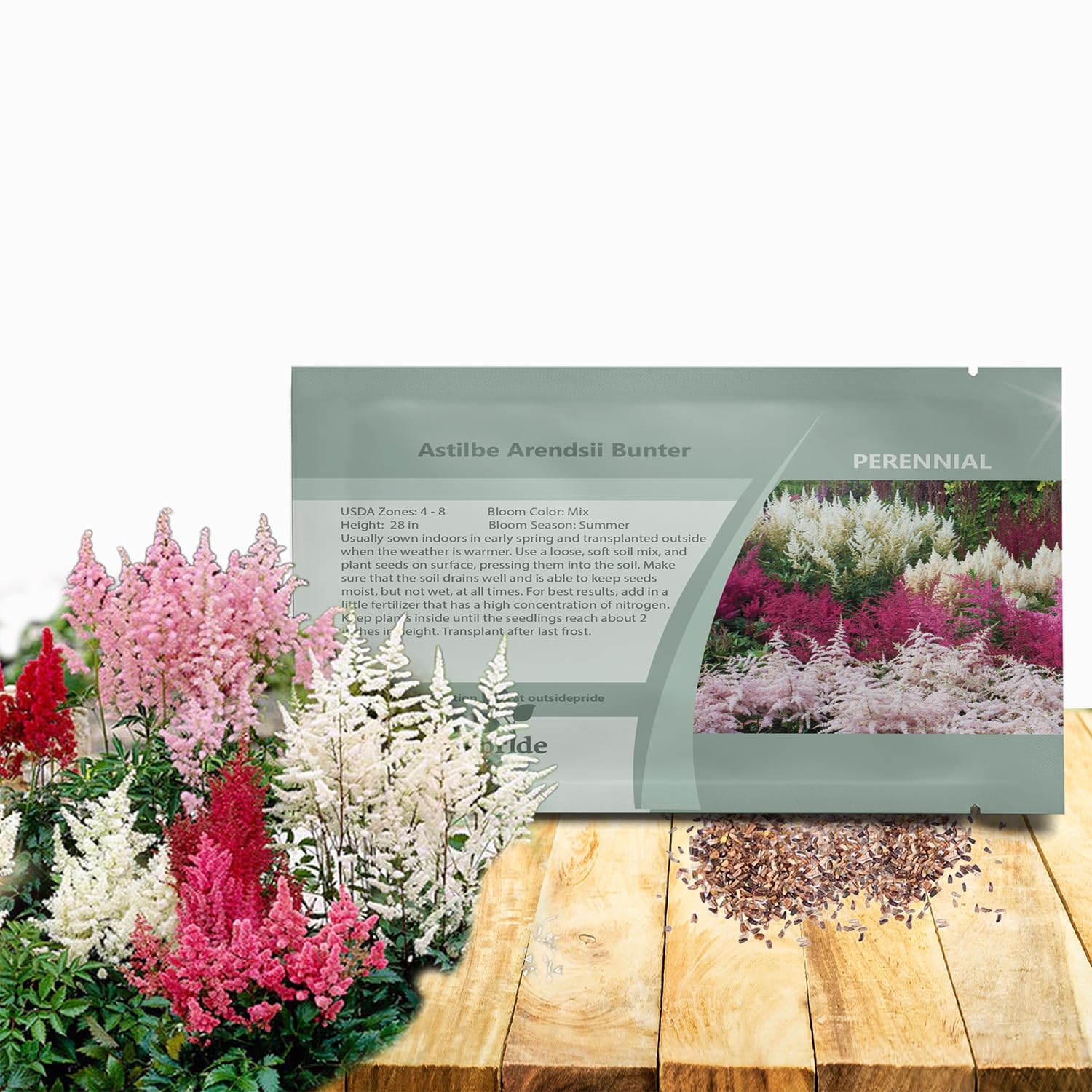 Outsidepride Bunter Astilbe Seeds – 1000 Pcs Perennial, Shade Tolerant Flower Seeds for Planting Vibrant Mixed Blooms in Moist Areas, & Pollinator-Friendly Garden Borders with High Germination Rate