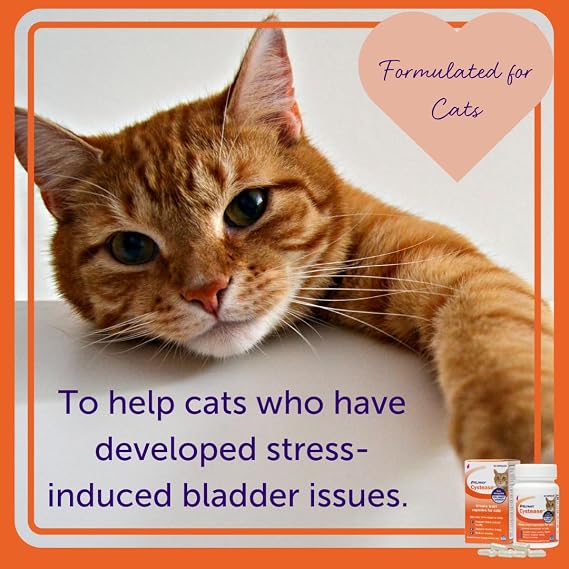 FELIWAY Cystease 300 Capsule Pack, Cats Urinary Tract Infection Treatment