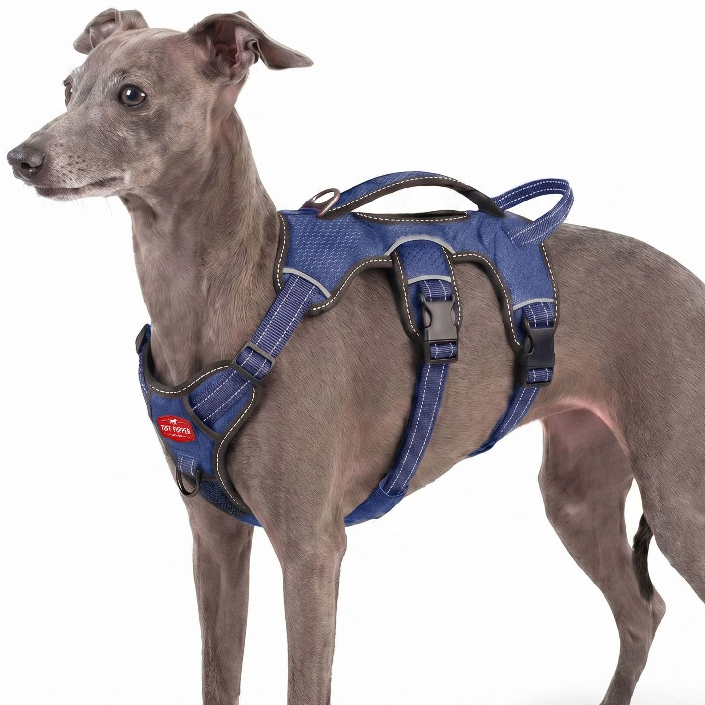 Tuff Pupper Escape Proof