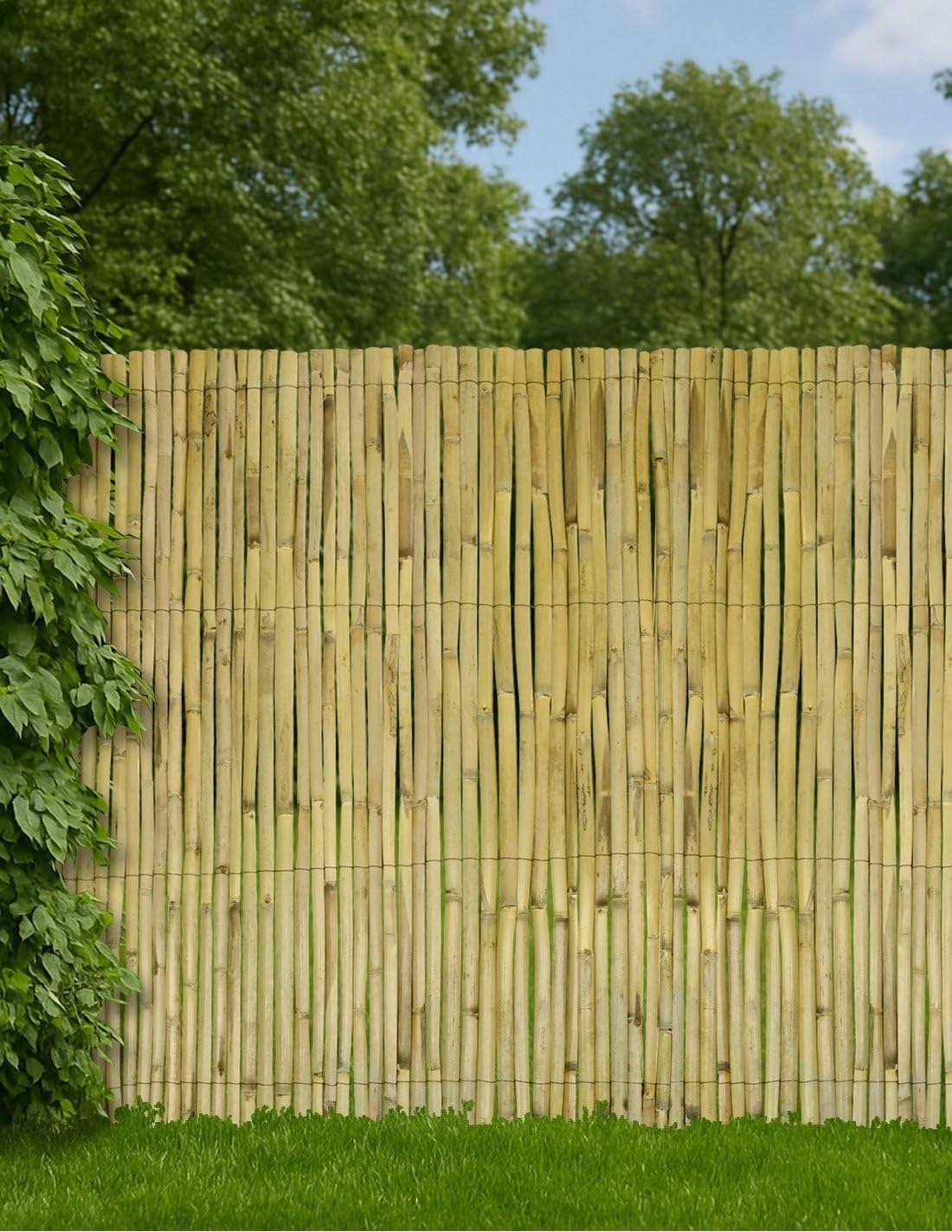 Jardin202 - Cerramiento de Caña Partida Nacional para Exteriores | Ocultación 95% | Jardín y Pérgolas | Producto Natural | Rollo: 2 x 5 Metros () | Rollo: 2 x 5 Metros