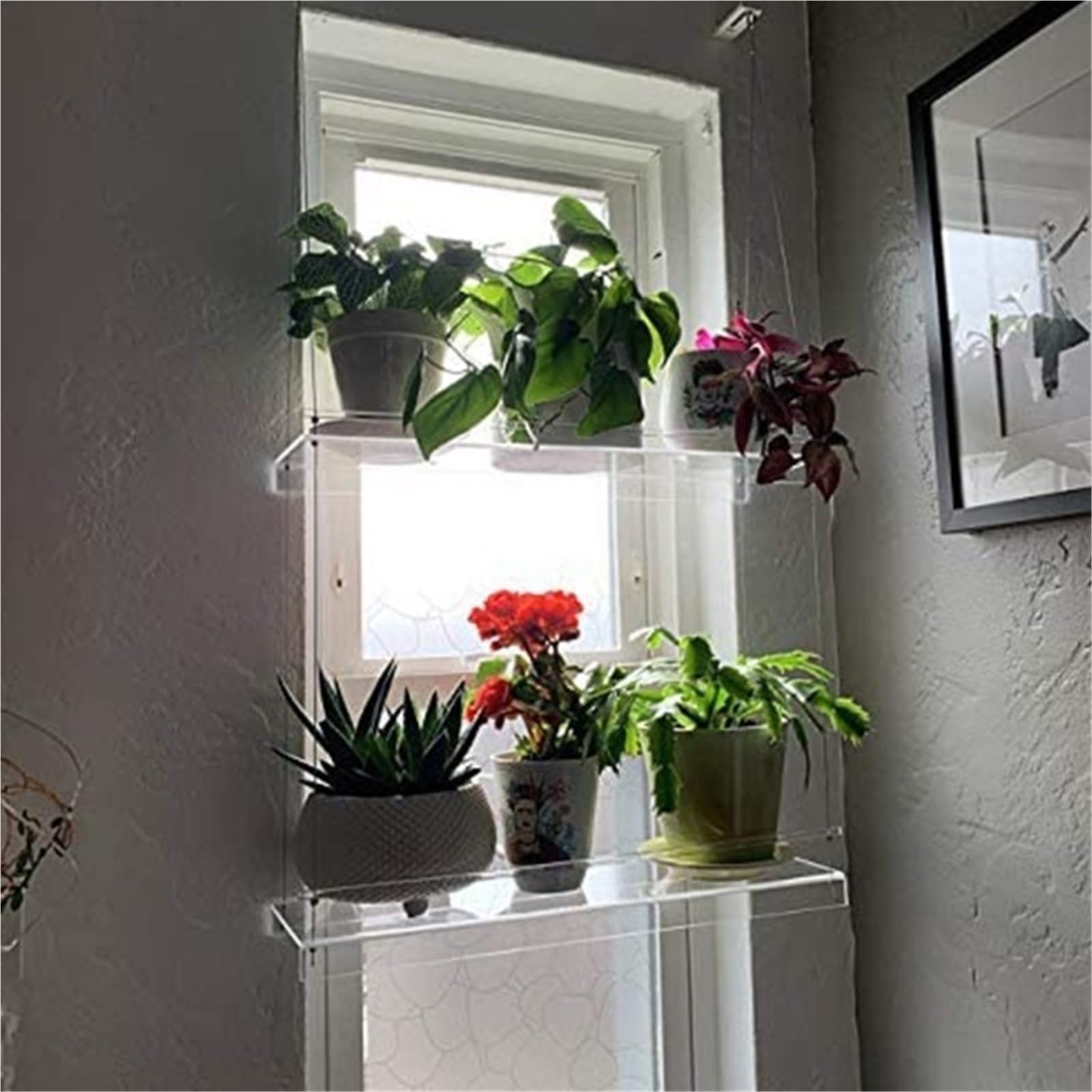 Dasjkdi Transparent Transpaent Window Plant Shelves Clear Hanging Floating Wall Shelf Flower Pot Rack Planter Stand For Indoor Window