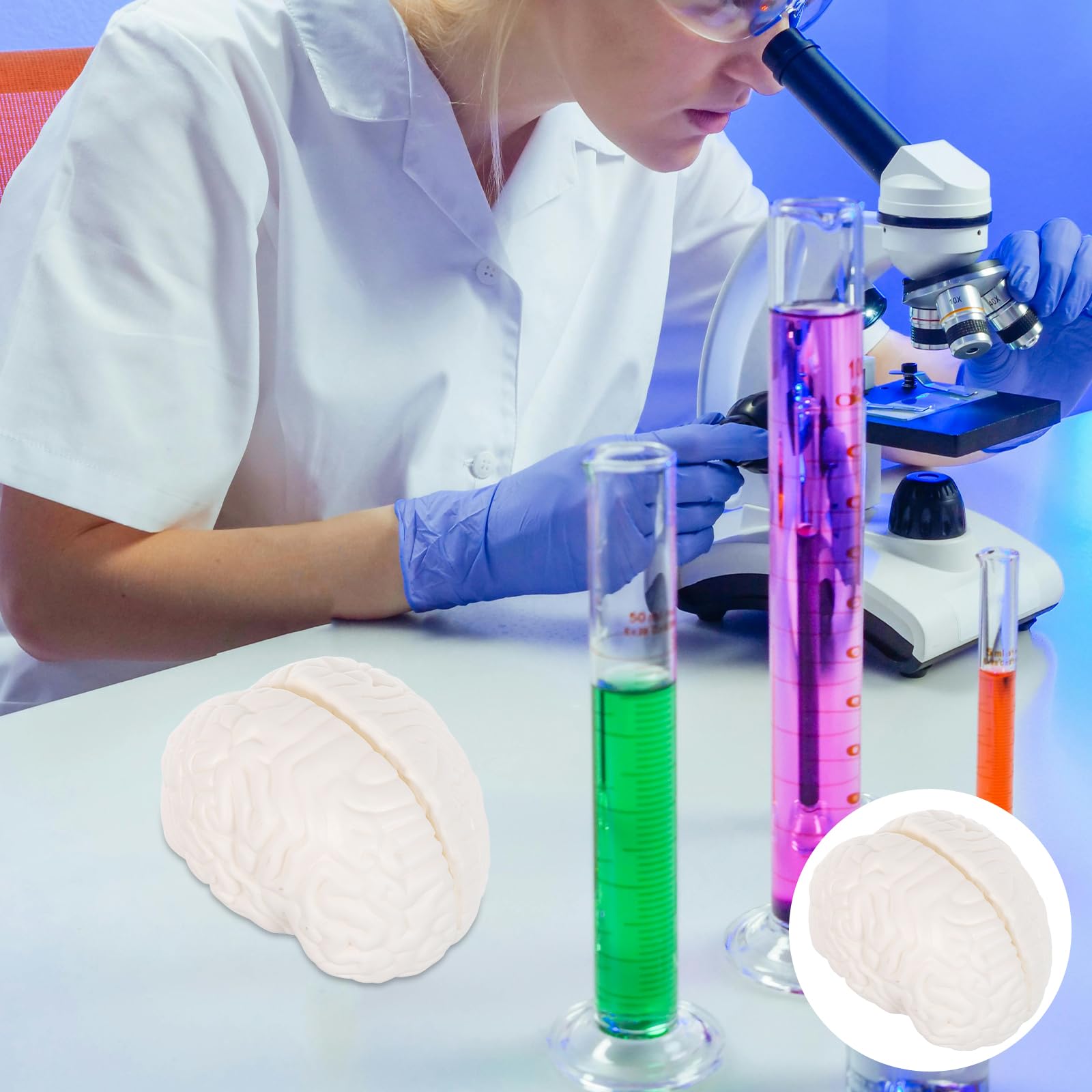 Modello Anatomico Cervello Dettagli Realistici, 3 Parti Smontabili, Materiale Durevole, Strumento per Studio Biologia e Ricerca Medica