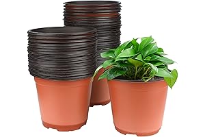 KINGLAKE 50 Pcs 6" Plastic Plants Nursery Seedlings Pot