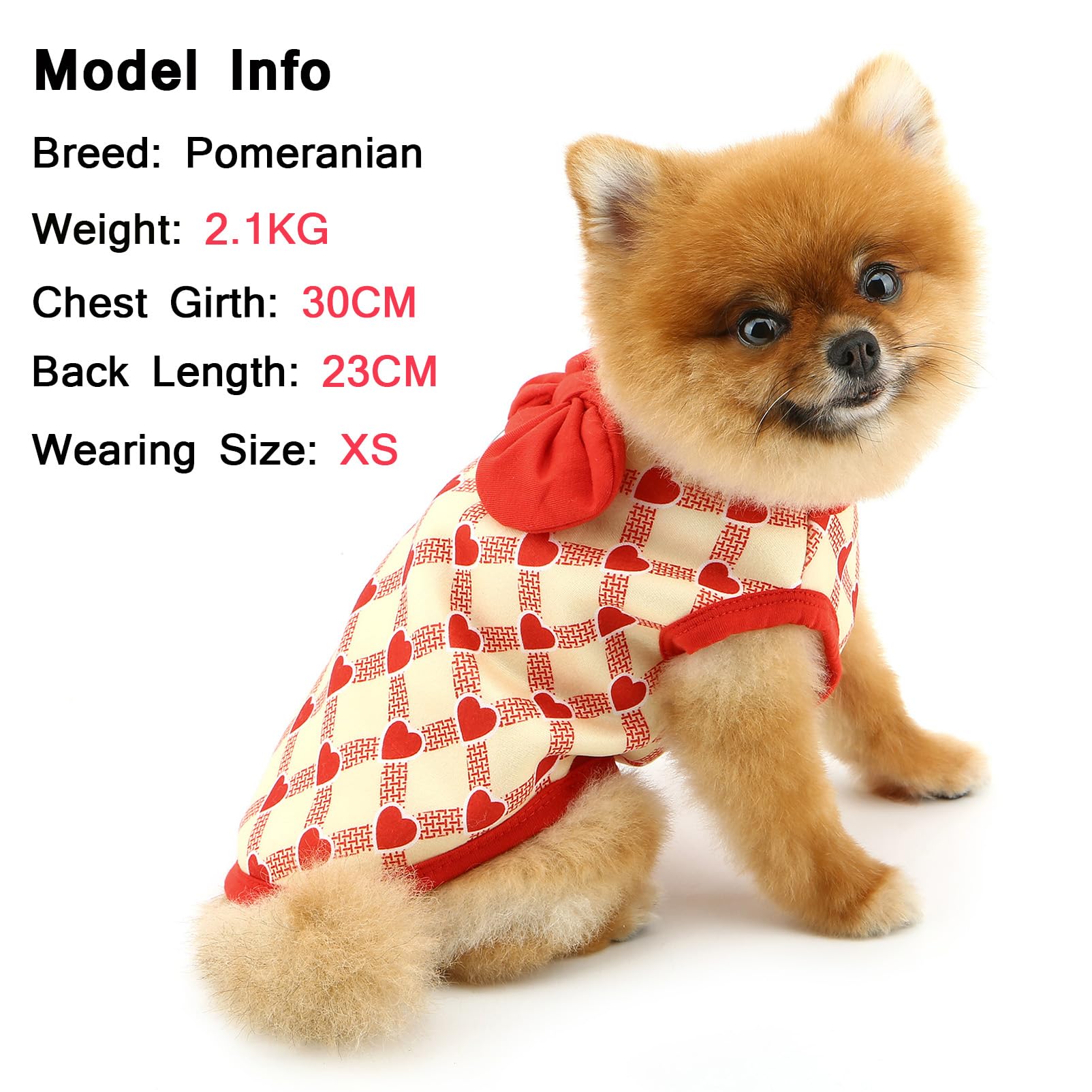 SMALLLEE_LUCKY_STORE Fleece Dog Jumper for Small Dog Heart Plaid Pet Sweatshirt with D-ring Bowkont Puppy Pullover Warm Winter Fall Sweater Chihuahua Daily Wear Outdoor Clothes - Image 3