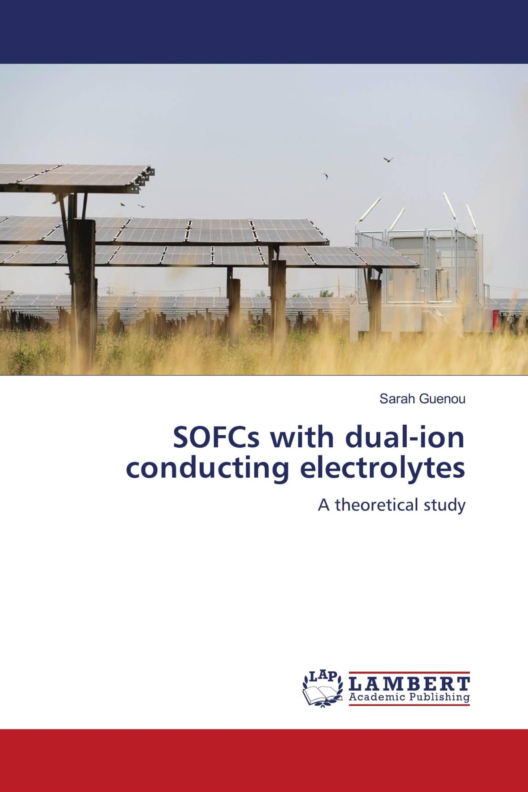 SOFCs with dual-ion conducting electrolytes: A theoretical study
