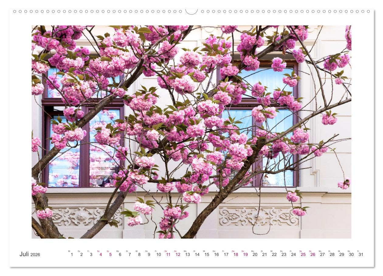 Japanische Kirschblüte in Bonn (hochwertiger Premium Wandkalender 2026 DIN A2 quer), Kunstdruck in Hochglanz: Die Altstadt erstrahlt in Pink und Rosa (CALVENDO Orte)